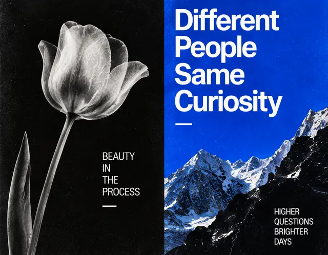 Ijhfsds837 — experimental graphic design by Naityik Singh