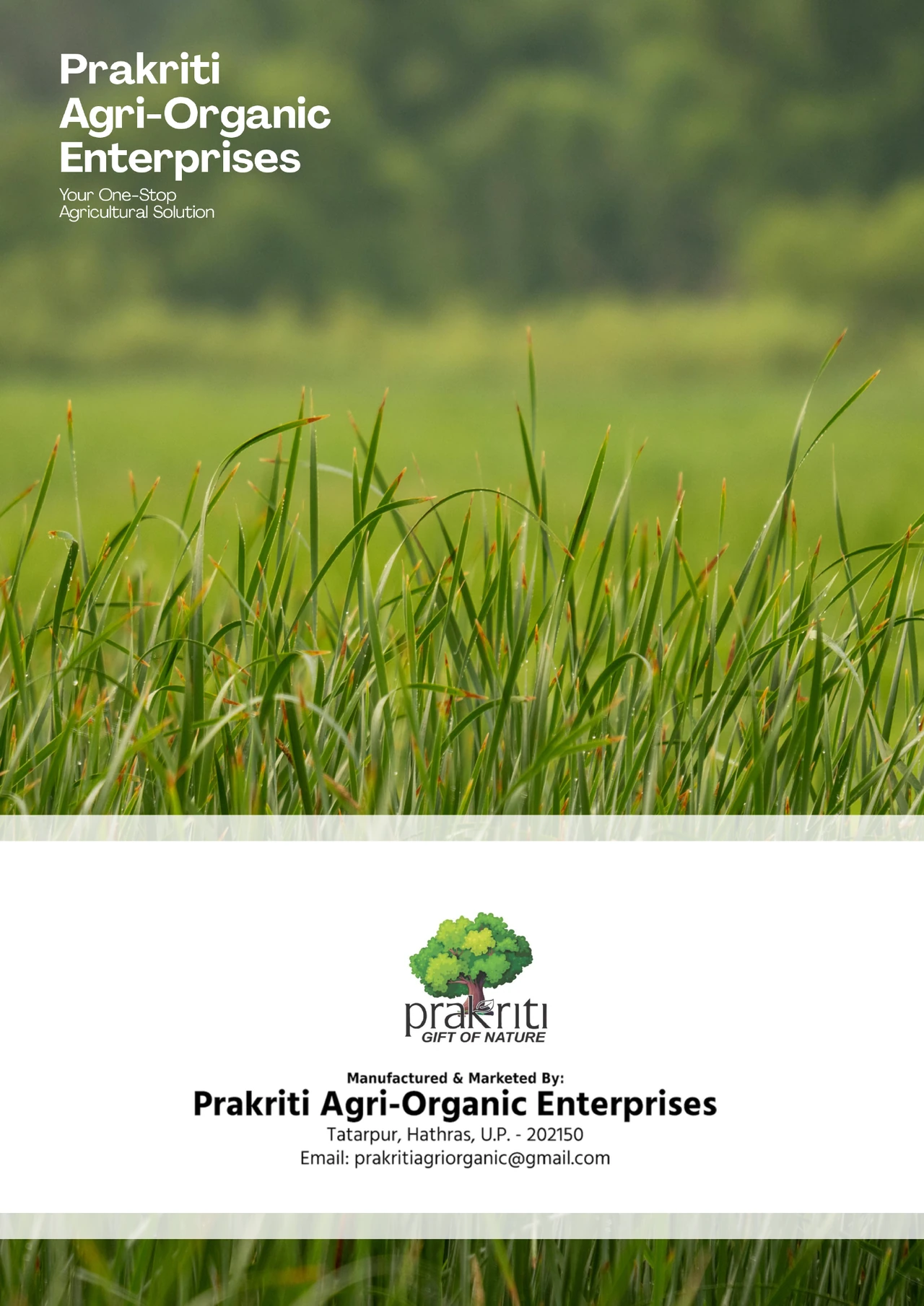 Back cover of the Prakriti product catalogue.